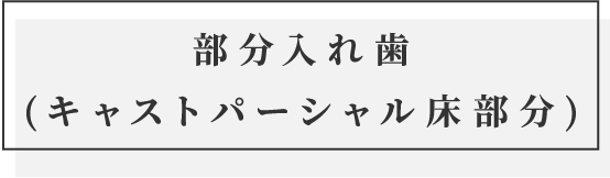 部分入れ歯(キャストパーシャル床部分)